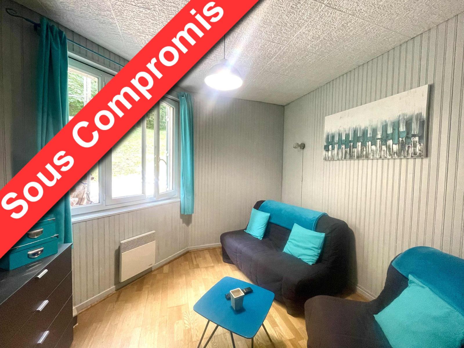 appartement 2 pièces - LE-MONT-DORE