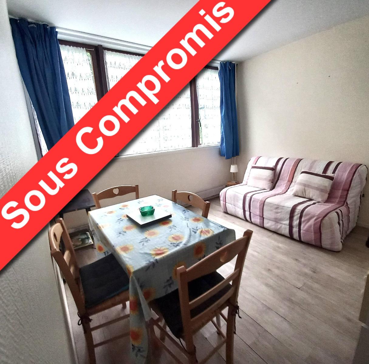 appartement 1 pièces - LE-MONT-DORE