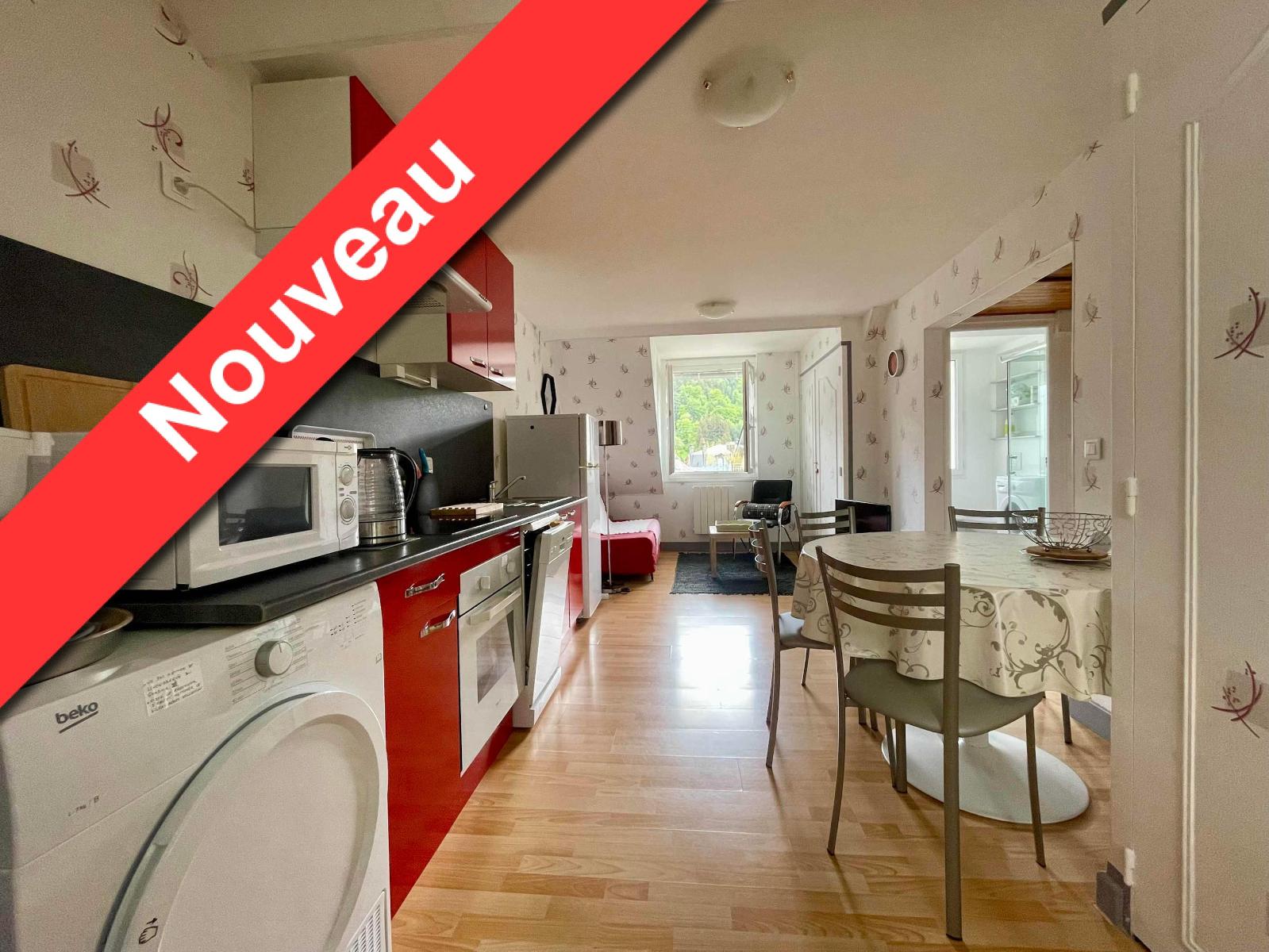 appartement 3 pièces - LE-MONT-DORE
