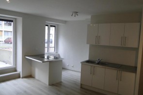 Appartement rénové en Location à Clermont-ferrand / 2 pièces 35m2